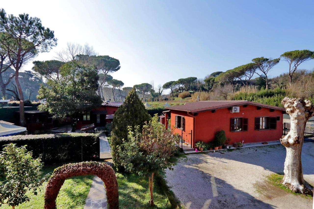Antico Platano Bed & Breakfast Roma Exterior foto